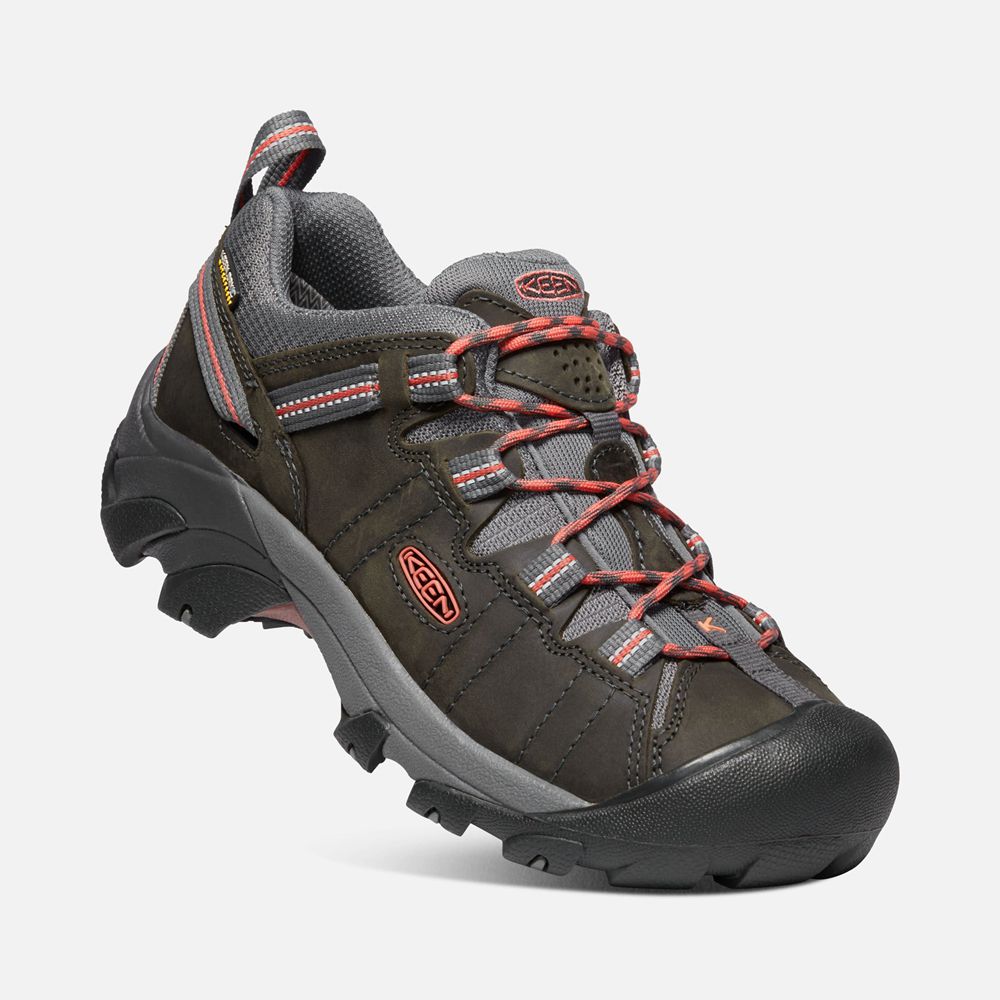 Keen Wandelschoenen Dames Zwart Bruin - Targhee Ii Waterproof - 16305-VKEQ